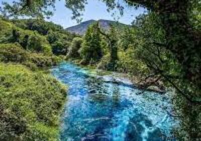Blue Eye Spring & Wine Tasting Tour