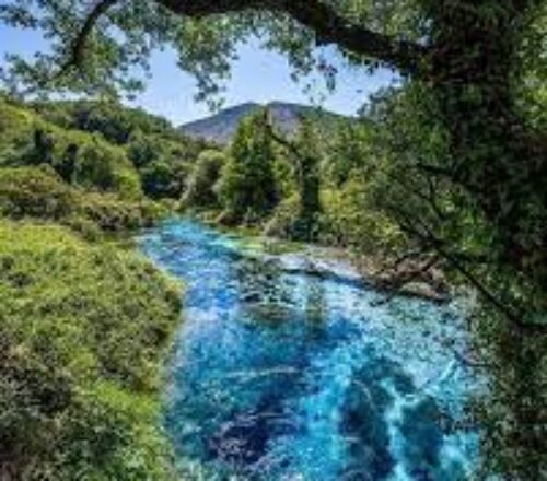 Blue Eye Spring & Wine Tasting Tour