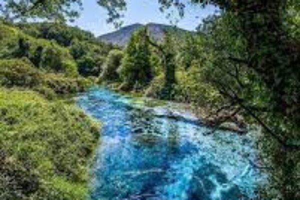 Blue Eye Spring & Wine Tasting Tour