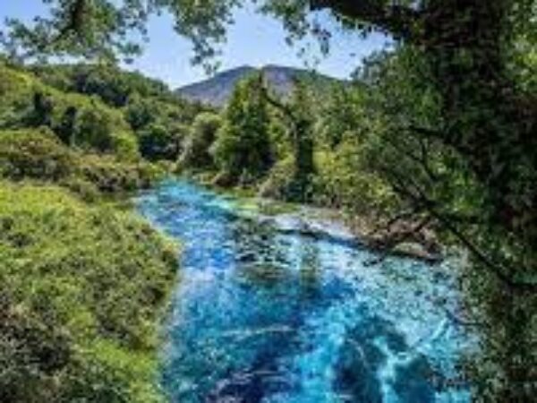 Blue Eye Spring & Wine Tasting Tour